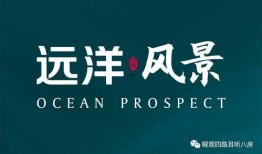 楼市频道爆料新闻视频,最新视频揭秘楼市动态与趋势